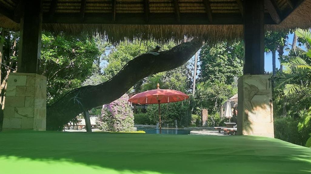 Rambutan Hotel Lovina Zewnętrze zdjęcie